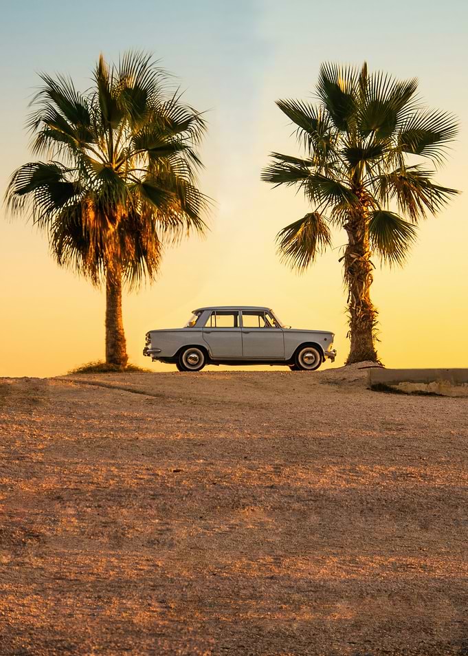 Vintage Car Between Palm Trees at Sunset