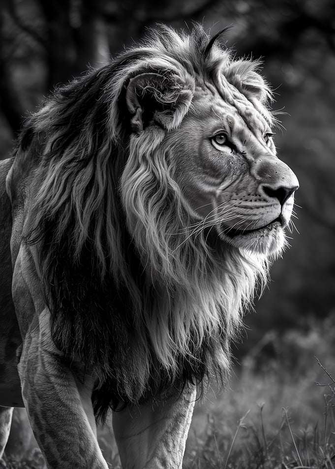 Legendary Black and White Lion Portrait in the Wild