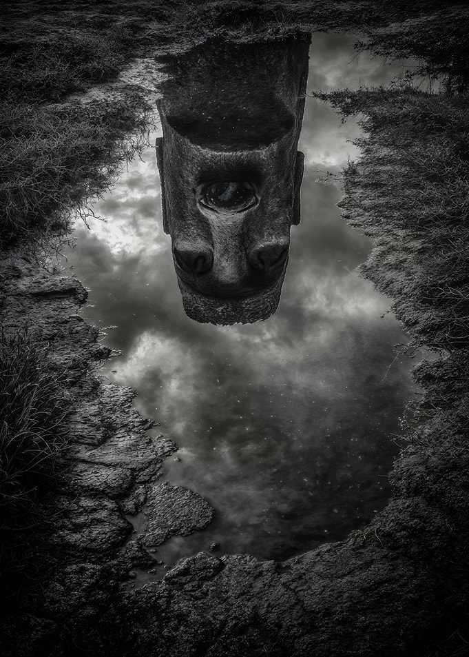 Moai Statue Easter Island Puddle Reflection