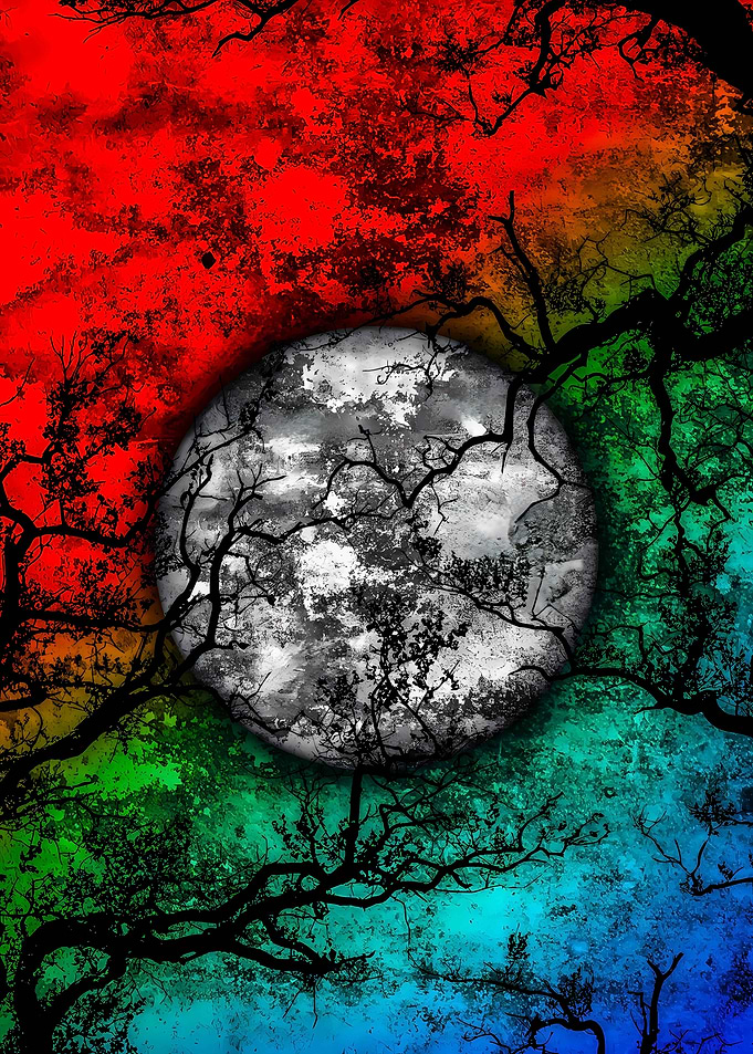 Abstract Moon through Branches