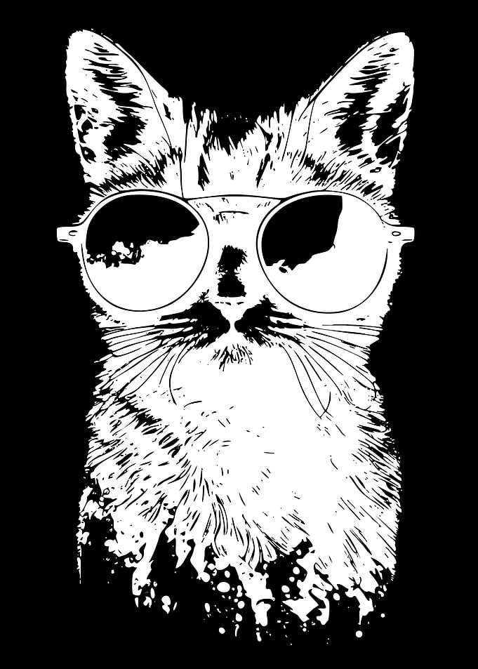 Cat Wearing Sunglasses