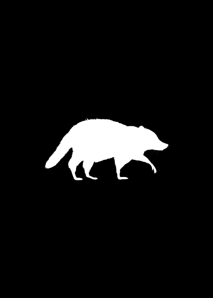 White Raccoon Silhouette on Black Background