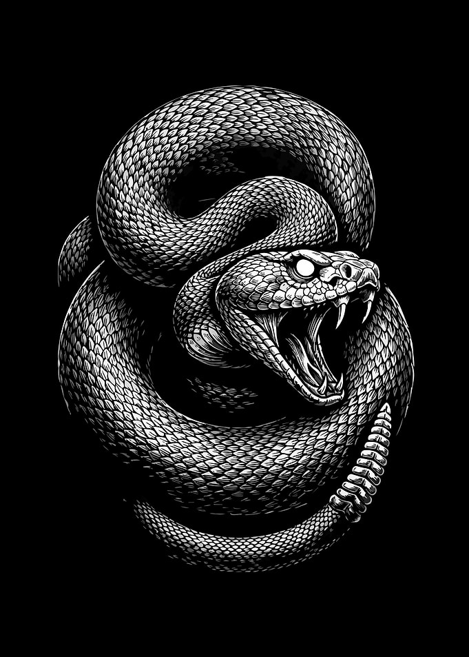 Aggressive Rattlesnake Illustration