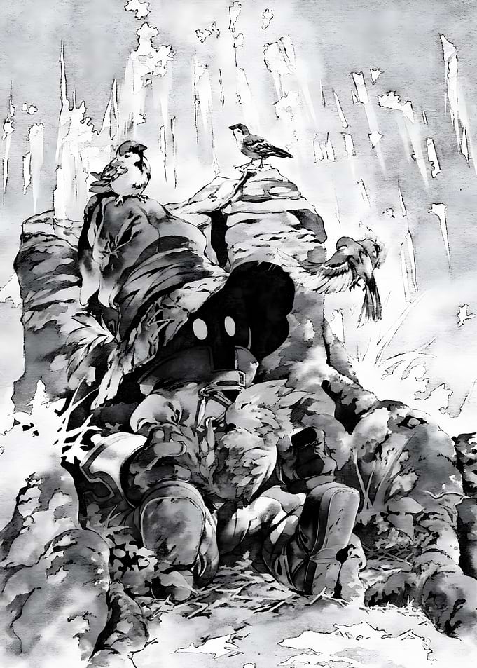 Black Mage and Birds on Rocks
