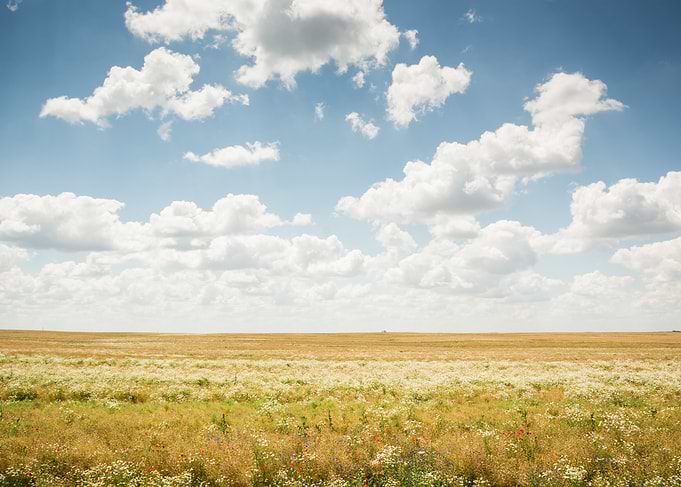 Vast Field Under Cloudy Sky