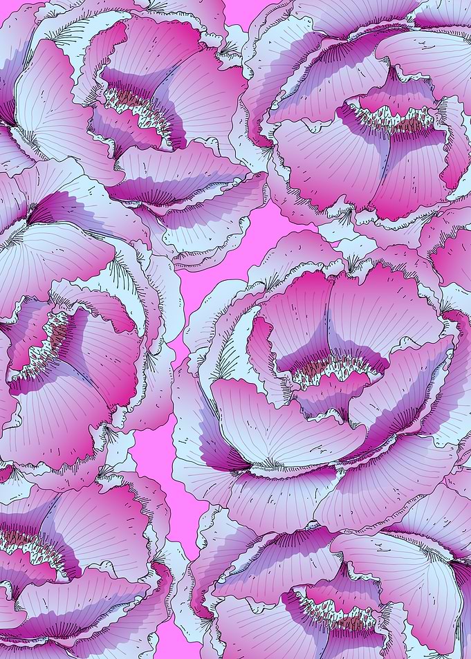 Pink Peony Floral Pattern