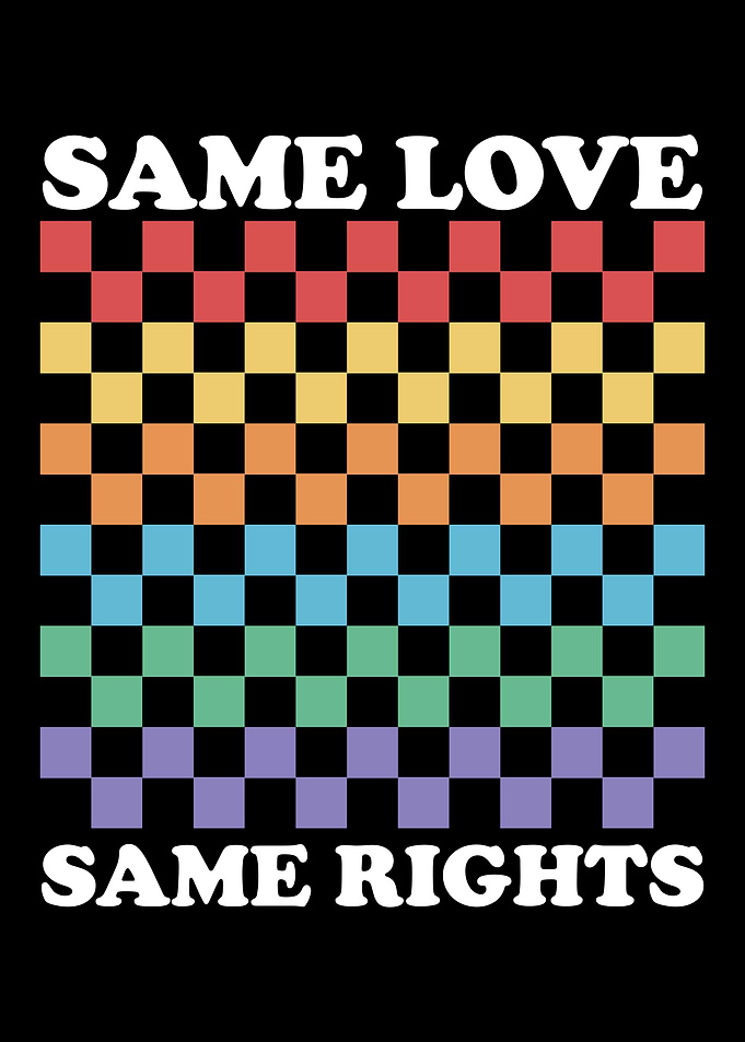Same Love Same Rights Rainbow Checkered Art