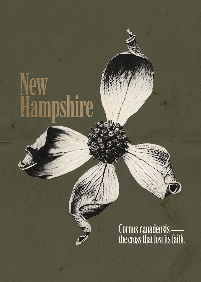 New Hampshire Floral Vintage Art