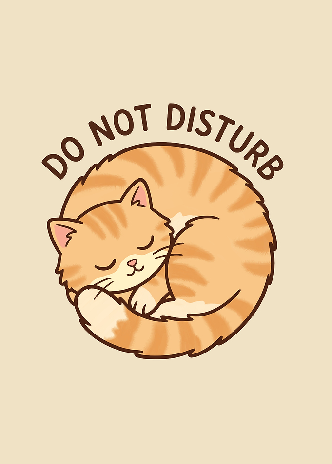 Sleeping Cat Do Not Disturb Sign