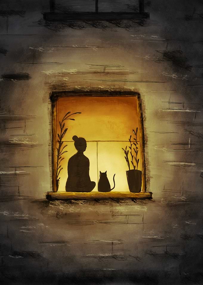 Home | Silhouette of Woman and Cat in Window
