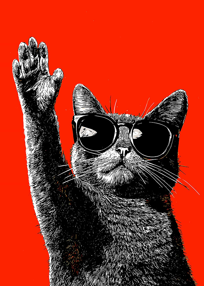 Cool Cat in Sunglasses Raising Paw