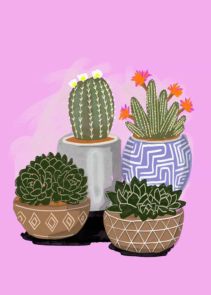 Potted Cacti and Succulents on Pink Background