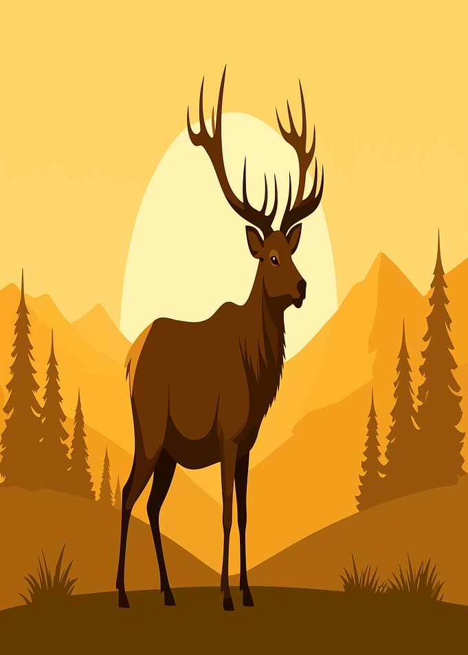 Majestic Elk in Golden Mountain Sunset