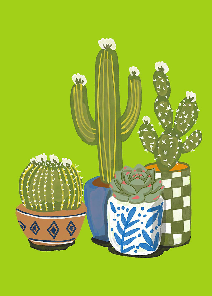Vibrant Potted Cacti and Succulent Illustration