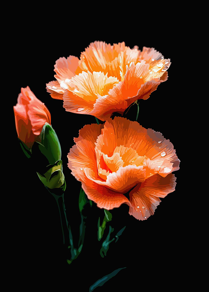 Vibrant Orange Carnations with Dew Drops