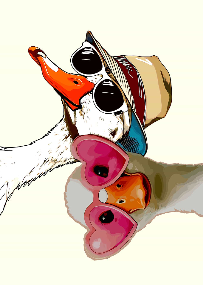 Cool Geese in Sunglasses and Hat