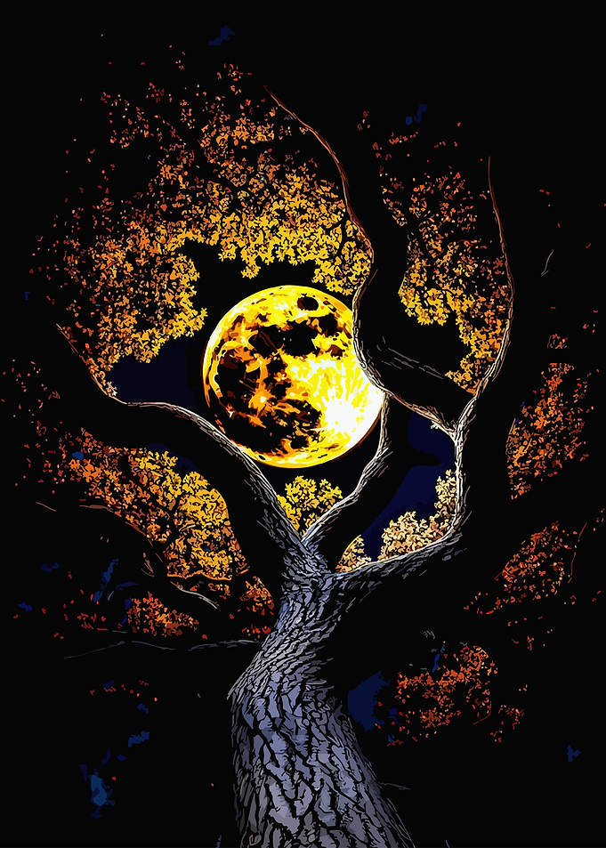 Golden Moon Behind Silhouetted Tree