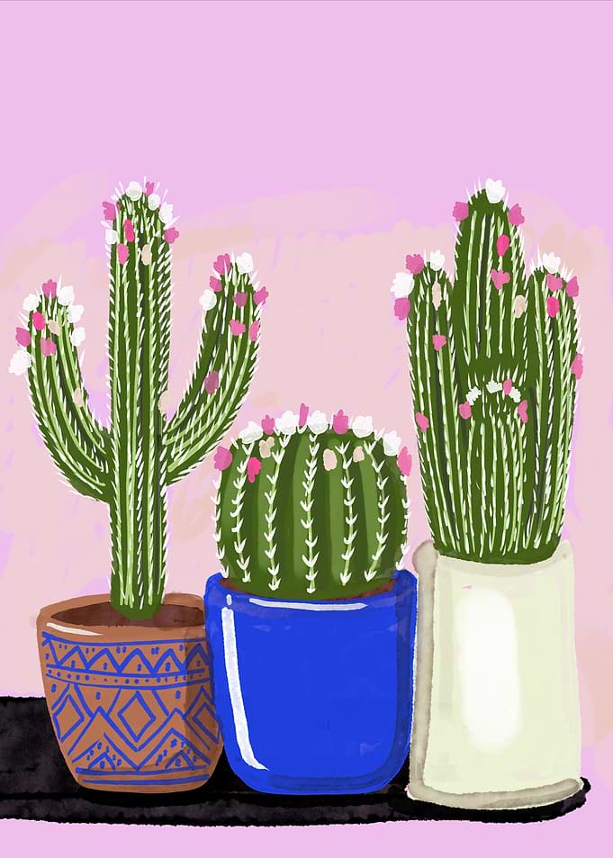Three Potted Cacti Illustration