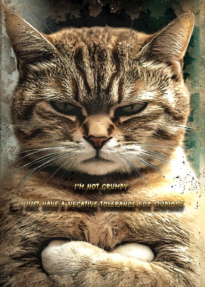 Grumpy Cat Sarcastic Quote Poster