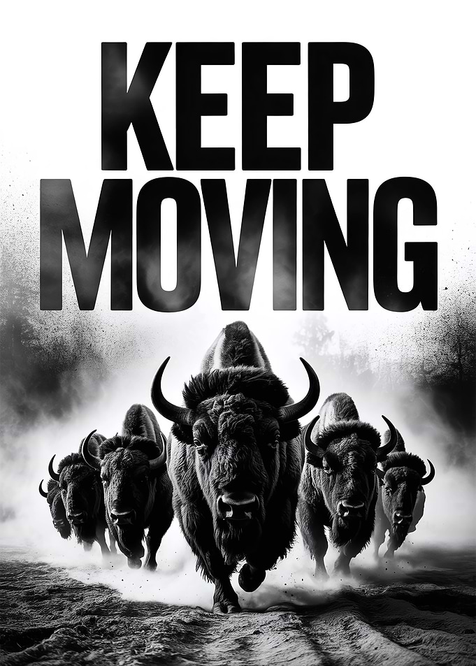 Keep Moving Bison Herd