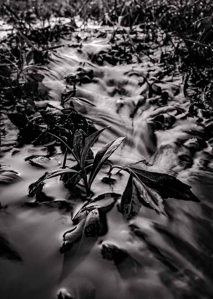 Gentle Stream