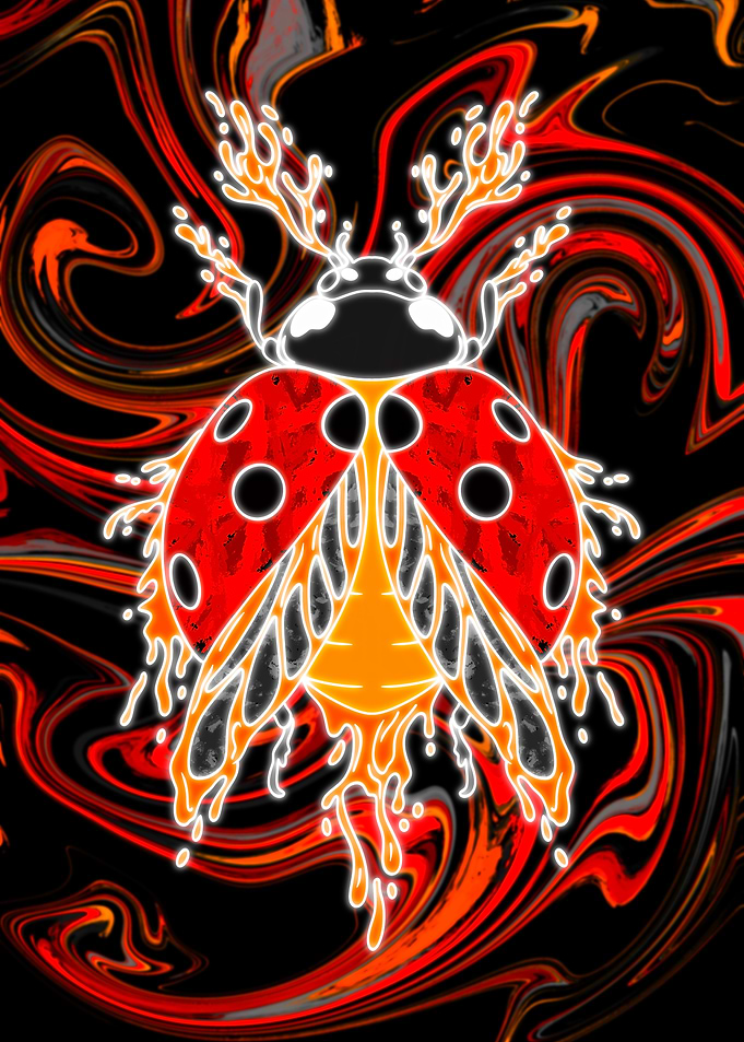 Liquid Neon Ladybug