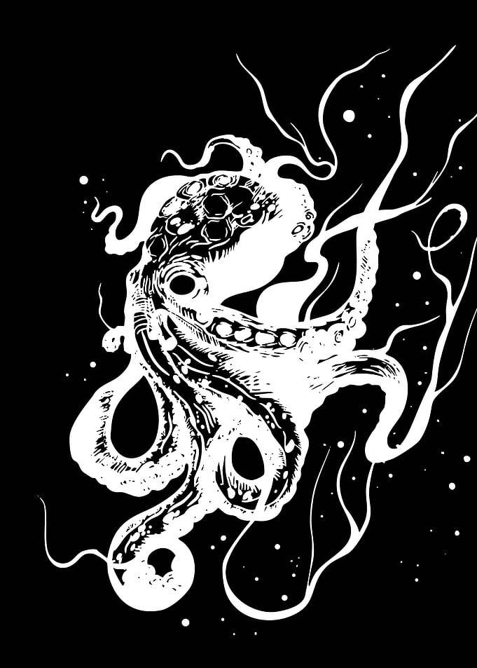 Minimalist Black and White Octopus Illustration