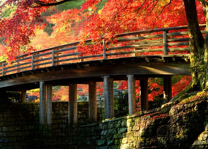 Wooden Bridge in Autumn Forest