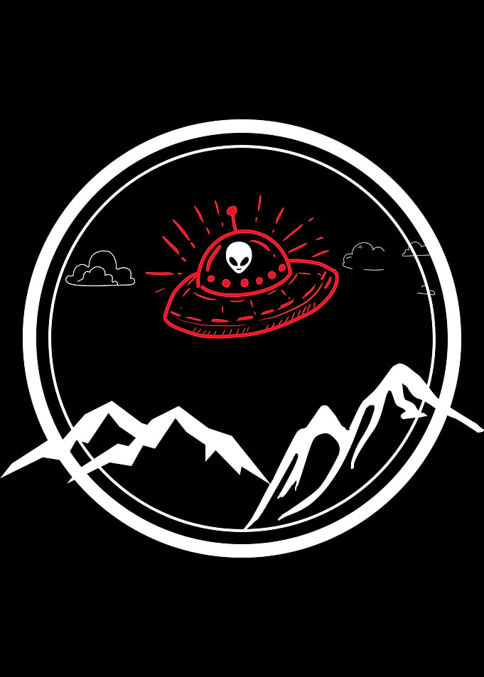 The Visitor