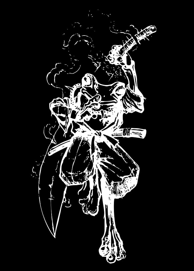 Samurai Frog Warrior Illustration