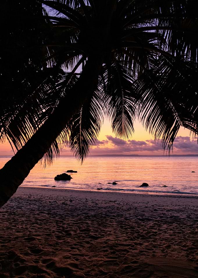 Tropical Beach Sunset Silhouette