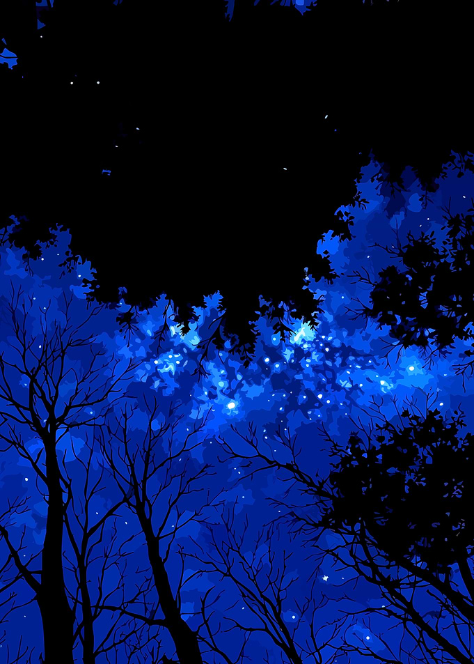 Starry Night Through Forest Canopy