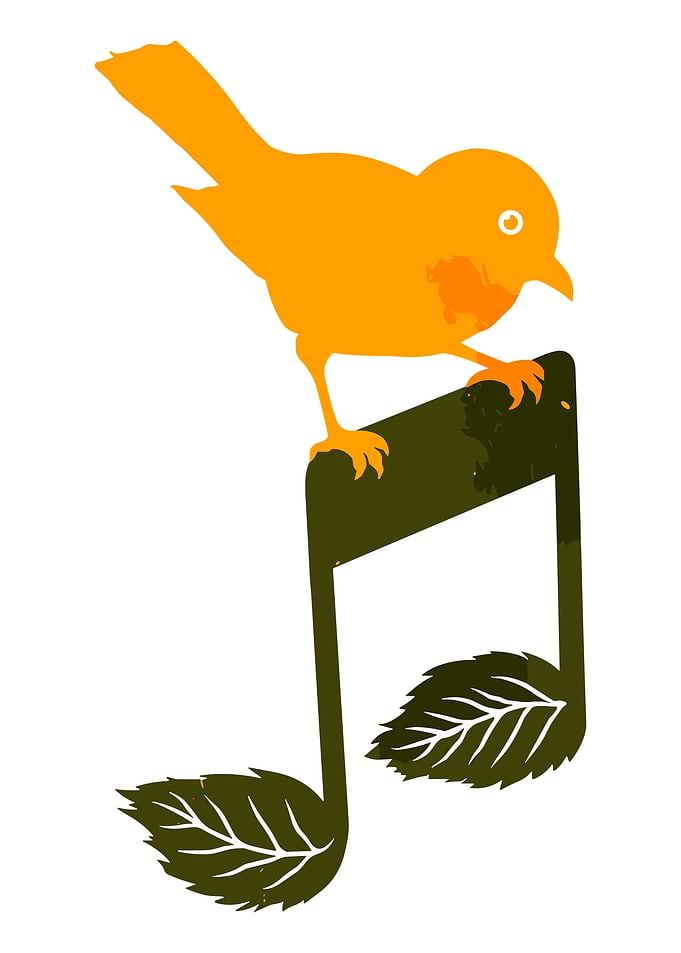 Orange Bird on Musical Note Poster | Vintage Nature Music Wall Art Illustration