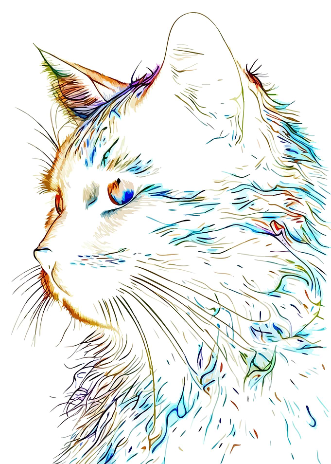 Colorful Artistic Cat Portrait