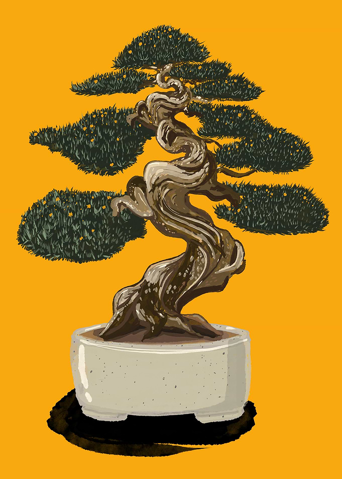 Stylized Bonsai Tree Illustration
