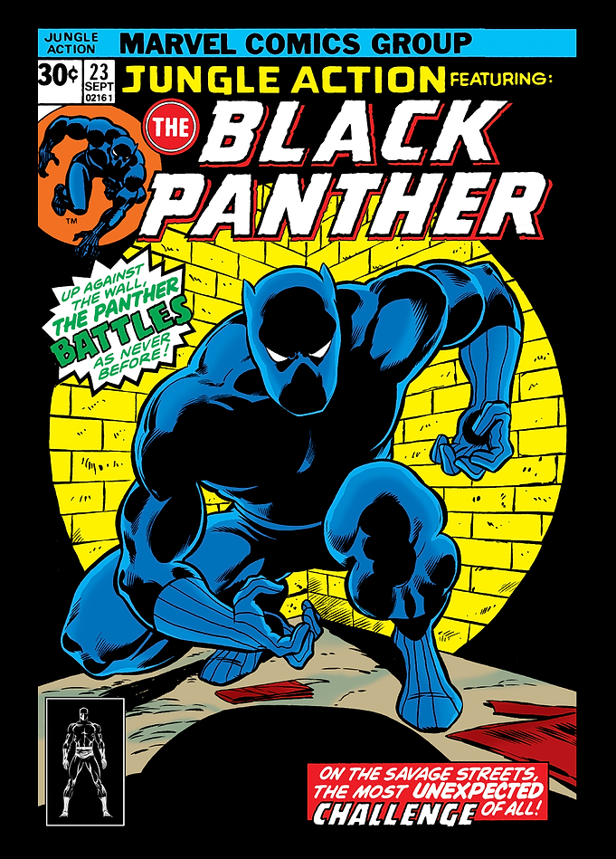 Black Panther - Jungle Action #23 Vintage Comic Cover