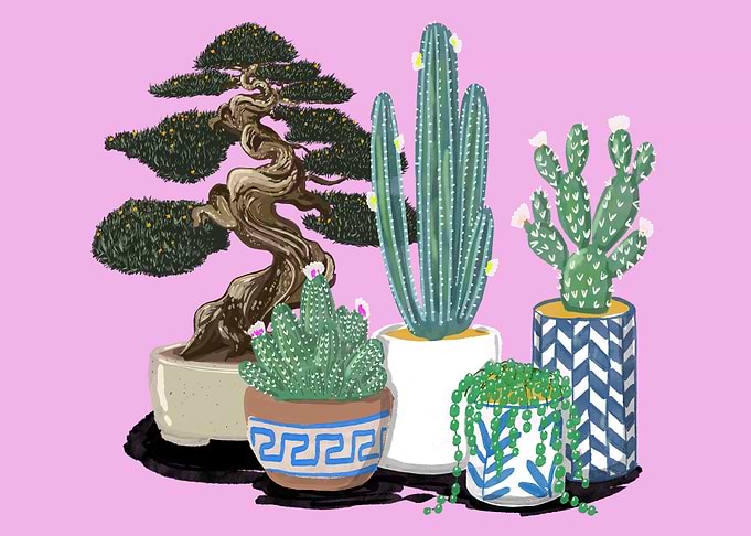 Collection of Potted Plants Illustration