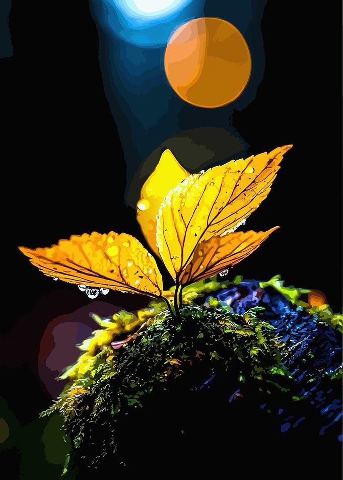 Golden Leaves on Mossy Rock