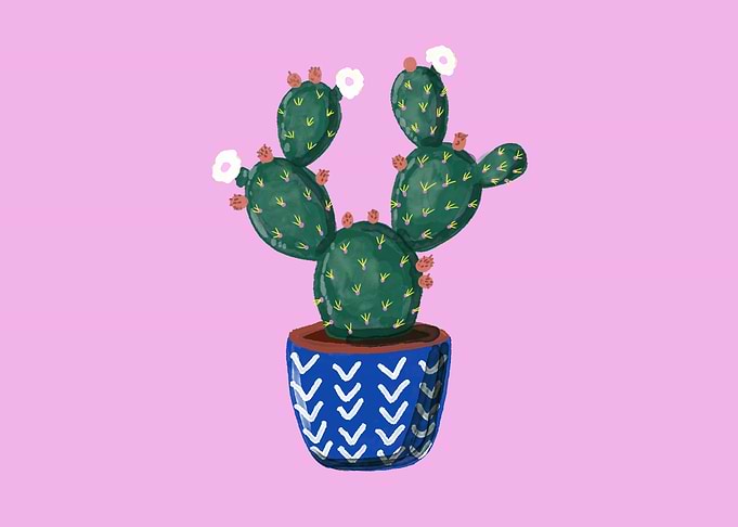 Potted Cactus Illustration