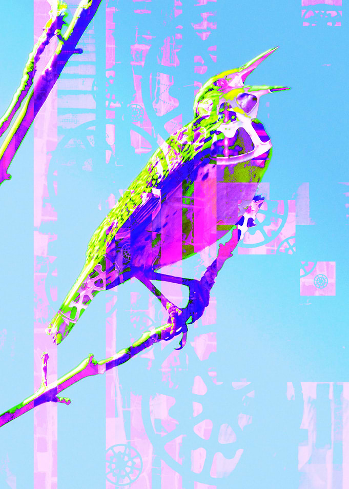 Songbird Abstract