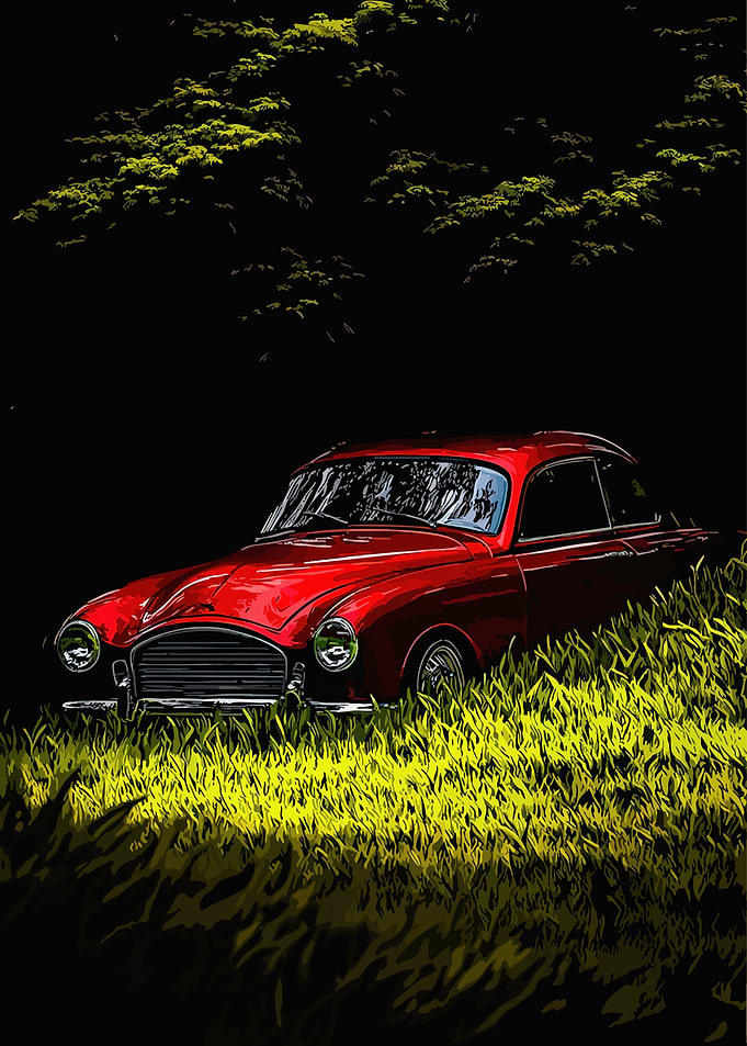 Vintage Red Car in Tall Grass