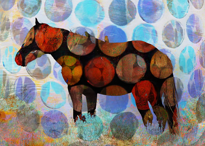 Horsing Around