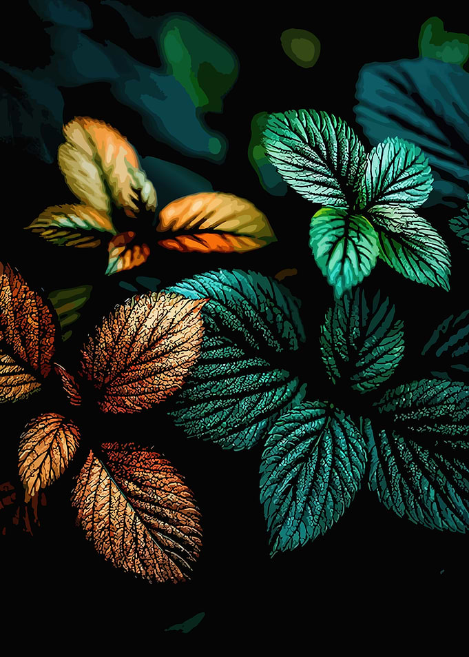 Vibrant Autumn and Green Leaves
