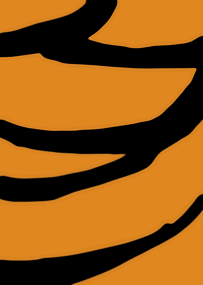 Tiger Stripe Pattern Background