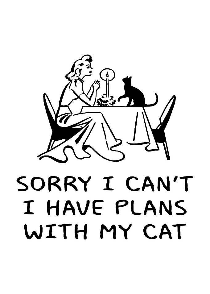 Plans With My Cat Illustration