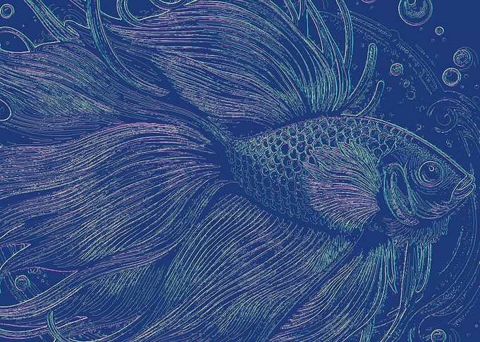 Intricate Line Art Betta Fish