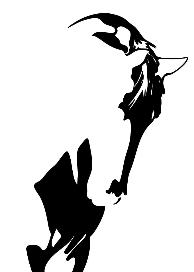 Minimalist Black and White Horse Profile