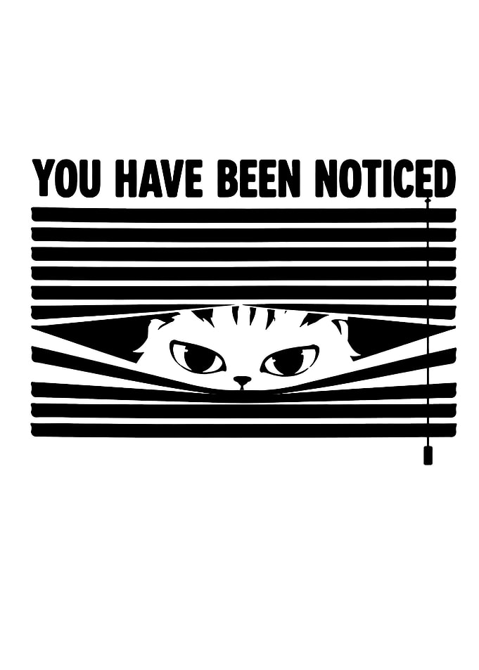Cat Peeking Through Blinds Graphic