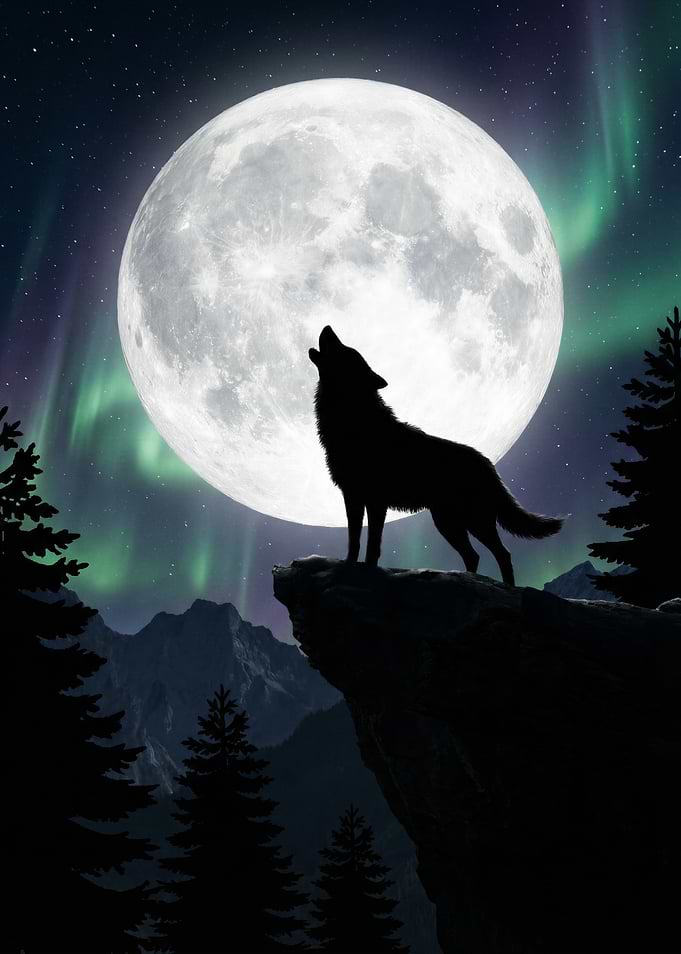 Wolf Howling at Full Moon