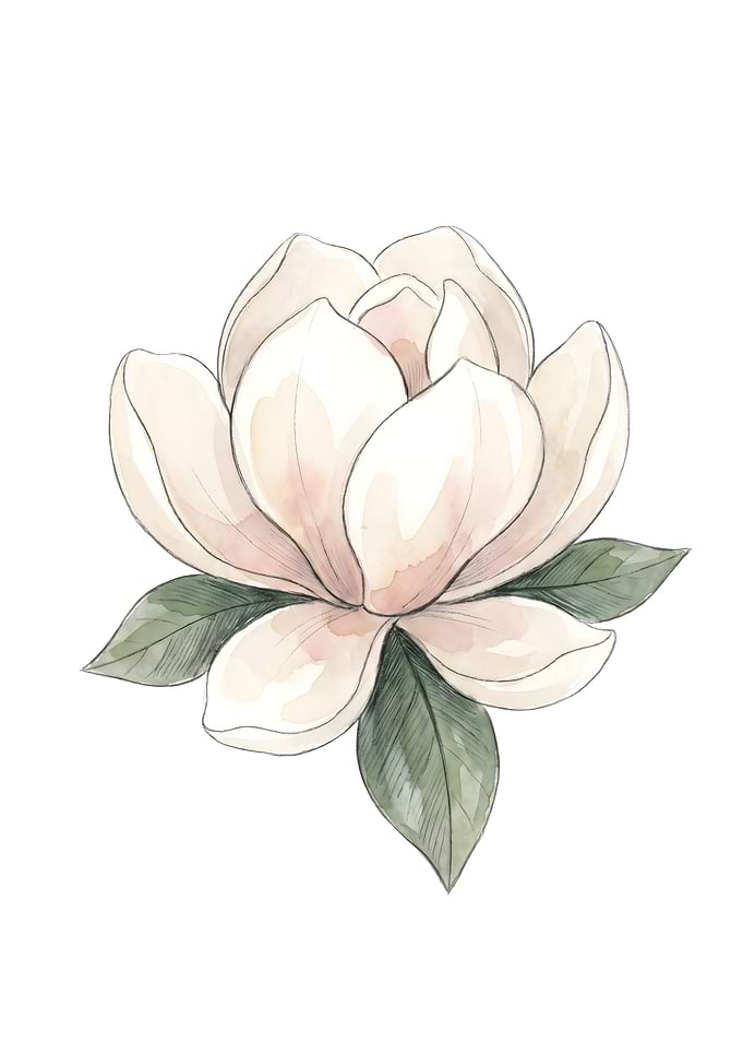 Watercolor Magnolia Flower Illustration